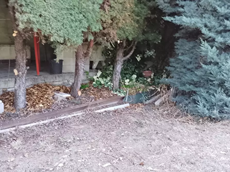 Immagine 7 di Casa indipendente in vendita  a Pollutri