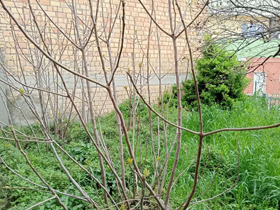 Immagine 6 di Terreno residenziale in vendita  in via del mercato a Gissi
