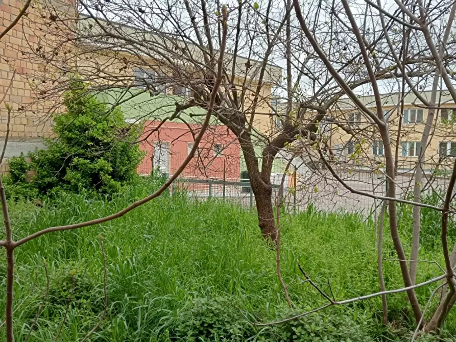 Immagine 7 di Terreno residenziale in vendita  in via del mercato a Gissi