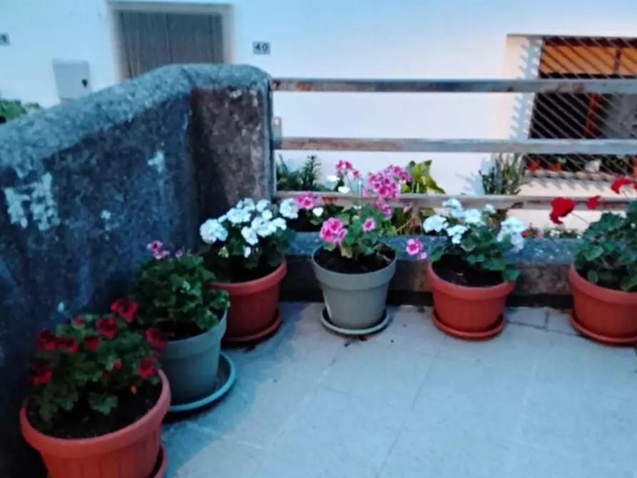 Immagine 12 di Appartamento in vendita  in corso Umberto a Palmoli