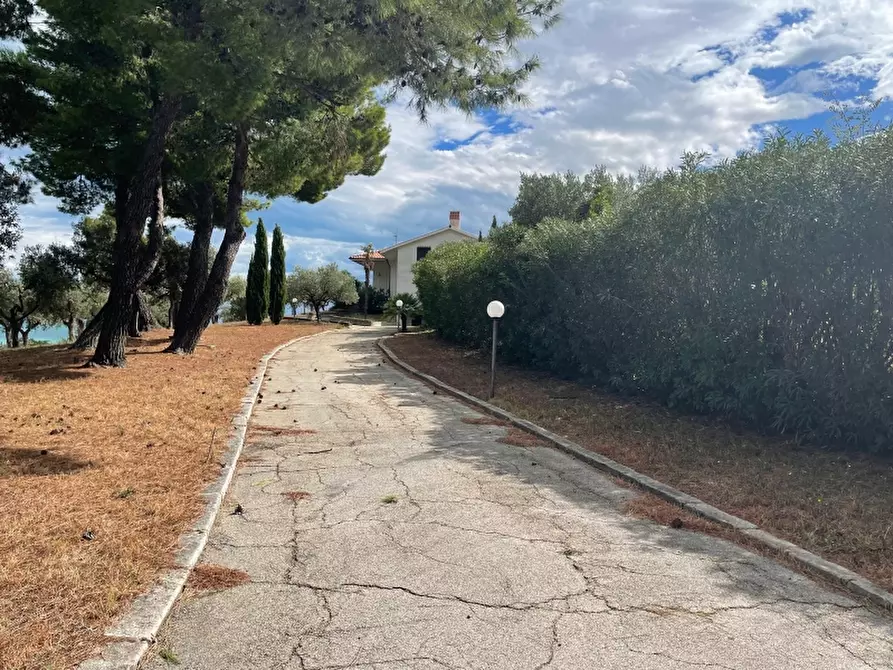 Immagine 2 di Villa in vendita  in Montevecchio a Vasto