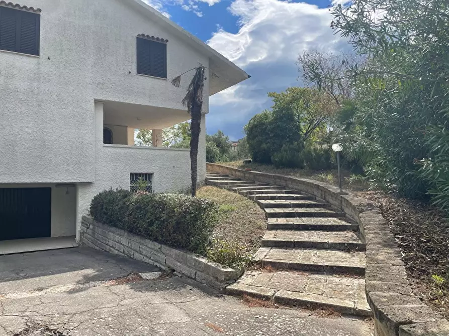 Immagine 3 di Villa in vendita  in Montevecchio a Vasto
