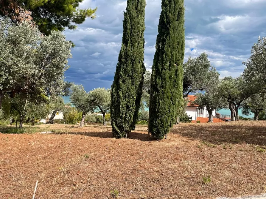 Immagine 5 di Villa in vendita  in Montevecchio a Vasto