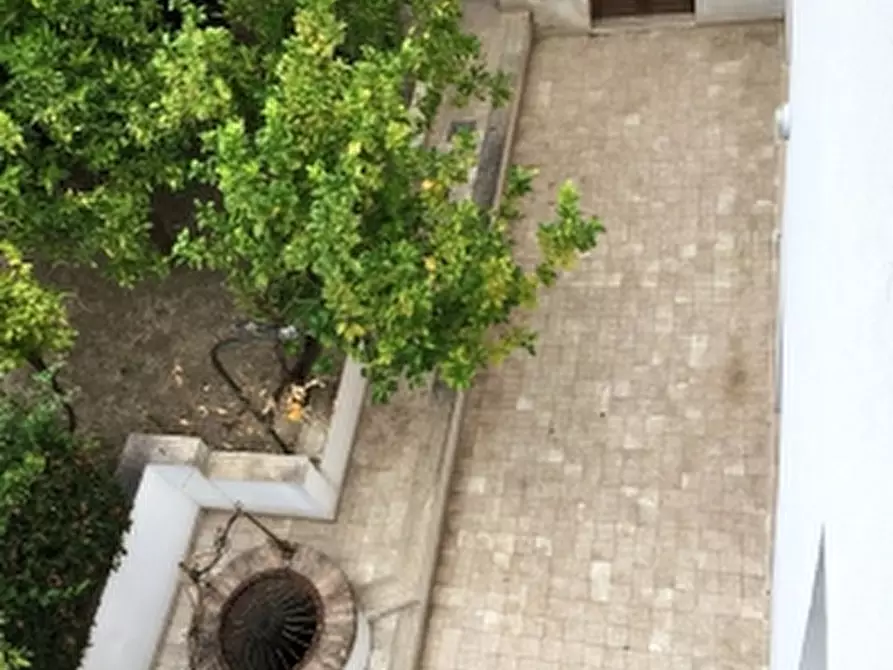 Immagine 8 di Villa in vendita  in localita' buonanotte a Vasto