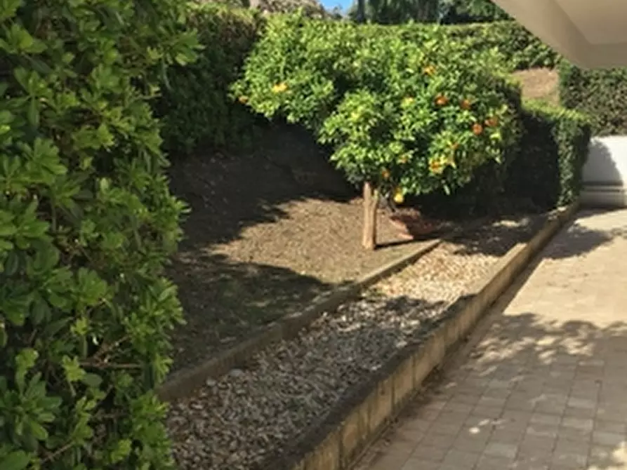 Immagine 9 di Villa in vendita  in localita' buonanotte a Vasto