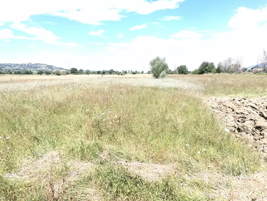 Immagine 3 di Terreno agricolo in vendita  in via montefalco a Foligno