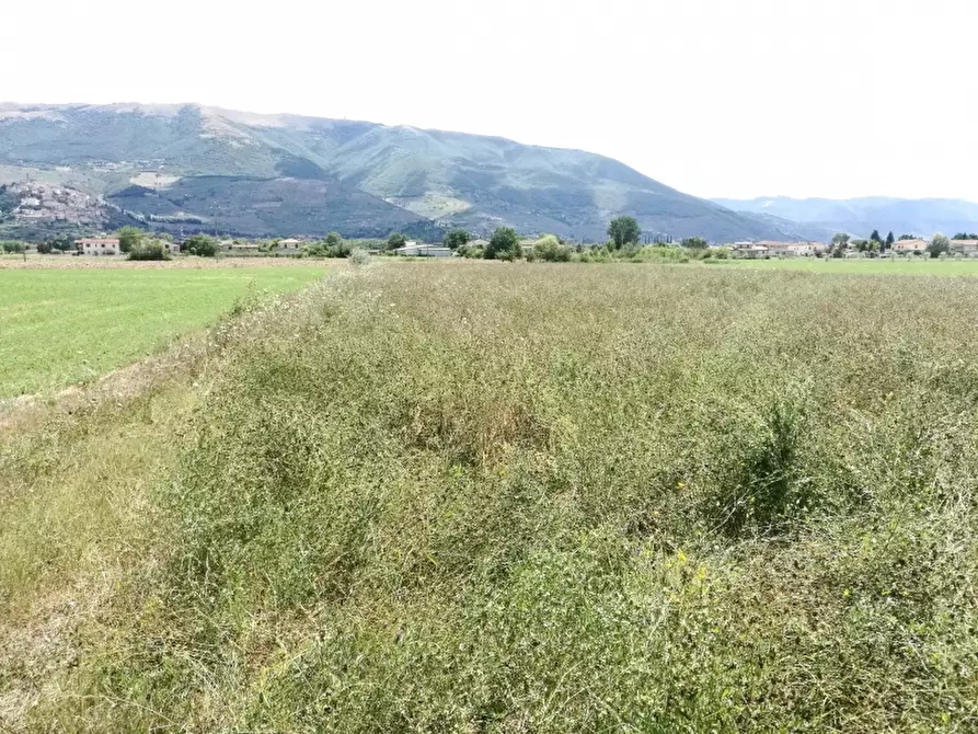 Immagine 4 di Terreno agricolo in vendita  in via montefalco a Foligno