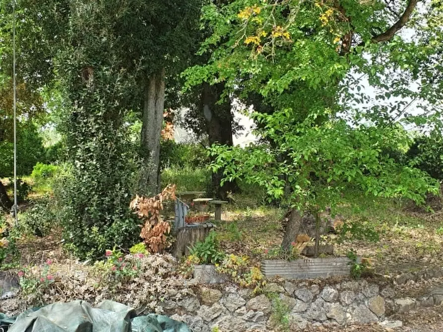 Immagine 3 di Casa indipendente in vendita  in san martino in colle a Perugia