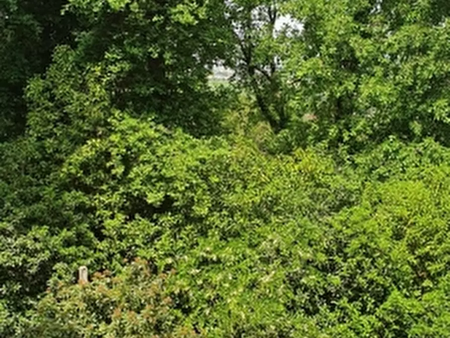 Immagine 5 di Casa indipendente in vendita  in san martino in colle a Perugia
