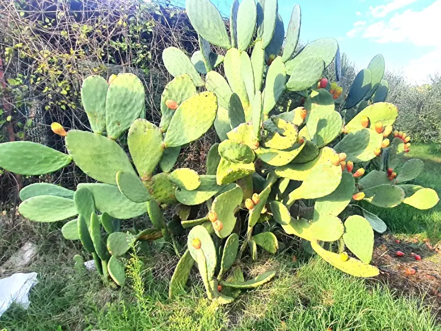 Immagine 22 di Villa in vendita  in VIA MARZABOTTO a Perugia