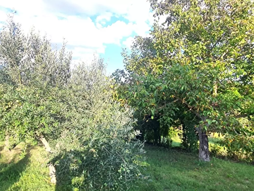 Immagine 38 di Villa in vendita  in VIA MARZABOTTO a Perugia