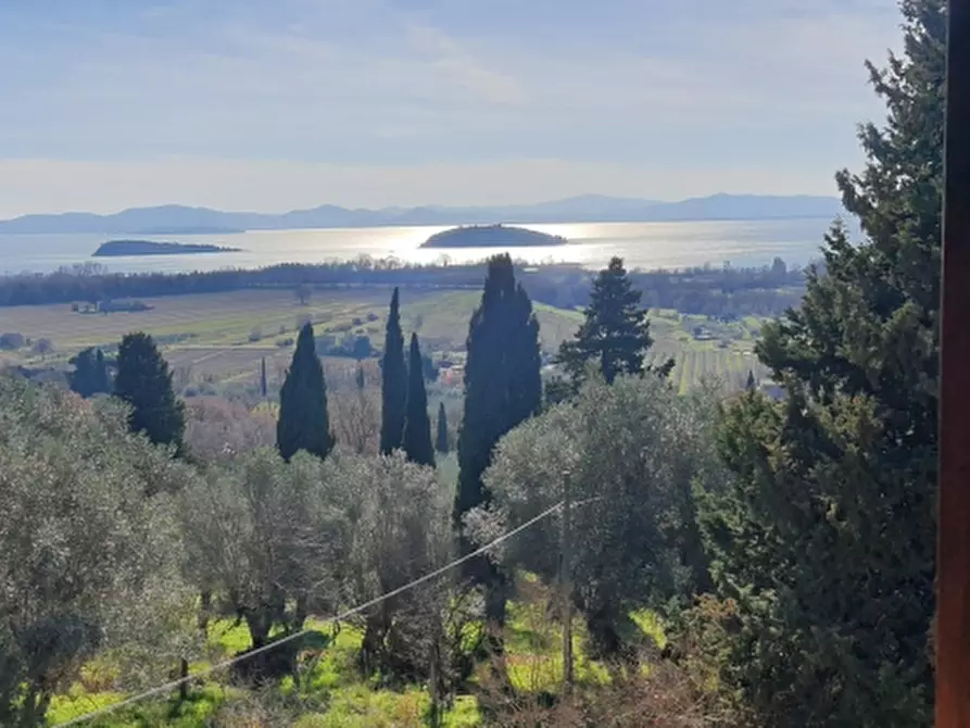 Immagine 31 di Castello in vendita  in VIA TRASIMENO a Perugia