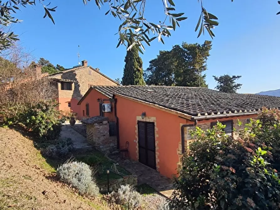 Immagine 13 di Agriturismo in vendita  in VIALE TRASIMENO a Valfabbrica
