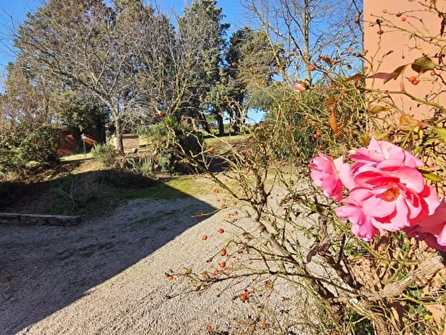 Immagine 20 di Agriturismo in vendita  in VIALE TRASIMENO a Perugia
