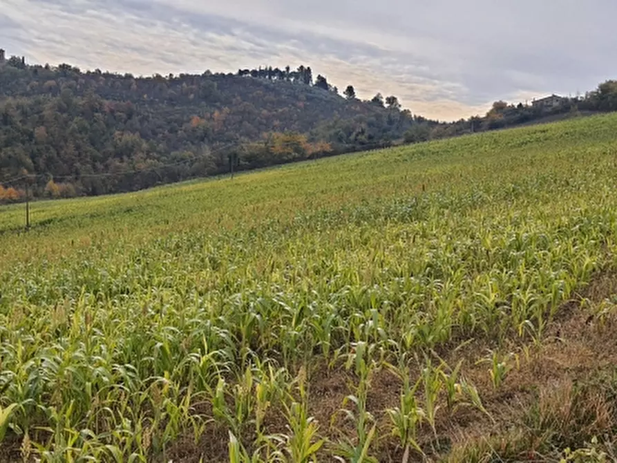 Immagine 1 di Terreno agricolo in vendita  in BORGO TREVI a Trevi