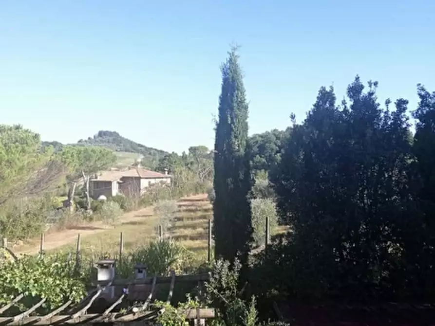 Immagine 22 di Rustico / casale in vendita  in MONTEPULCIANO 10 a Montepulciano