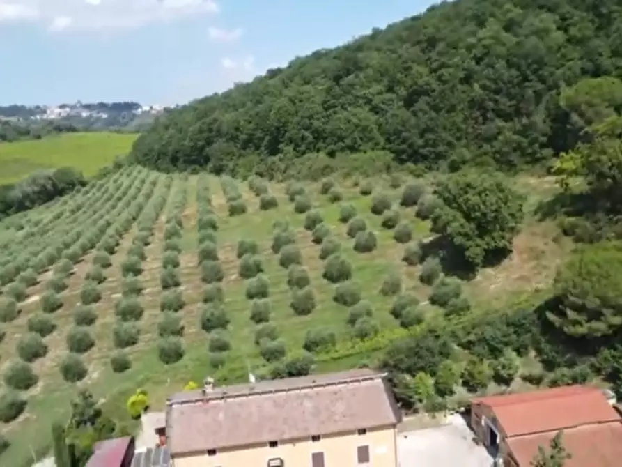 Immagine 34 di Rustico / casale in vendita  in MONTEPULCIANO 10 a Montepulciano