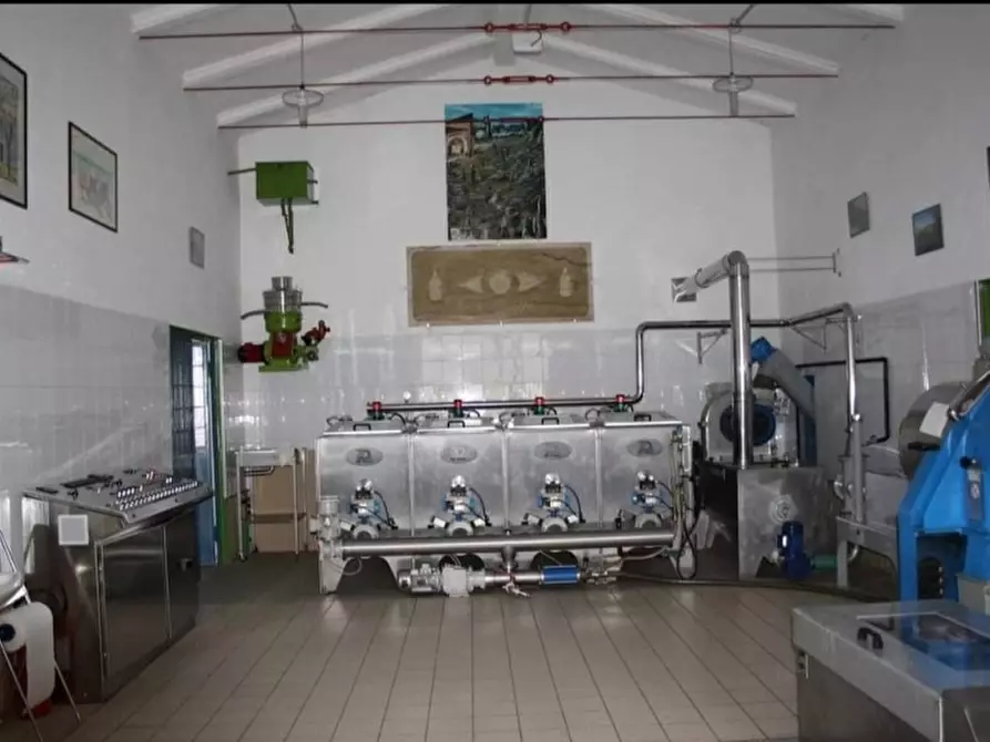 Immagine 5 di Rustico / casale in vendita  in MONTEPULCIANO 10 a Montepulciano