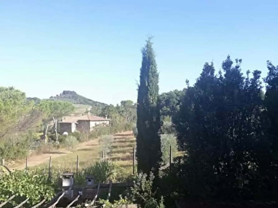 Immagine 10 di Rustico / casale in vendita  in MONTEPULCIANO 10 a Montepulciano