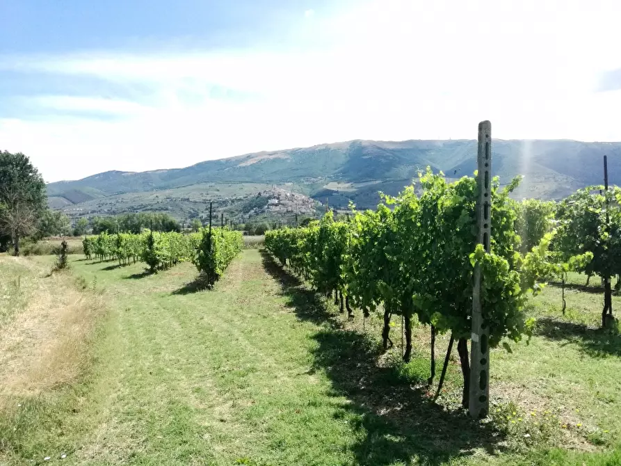 Immagine 2 di Terreno agricolo in vendita  in via montefalco a Foligno