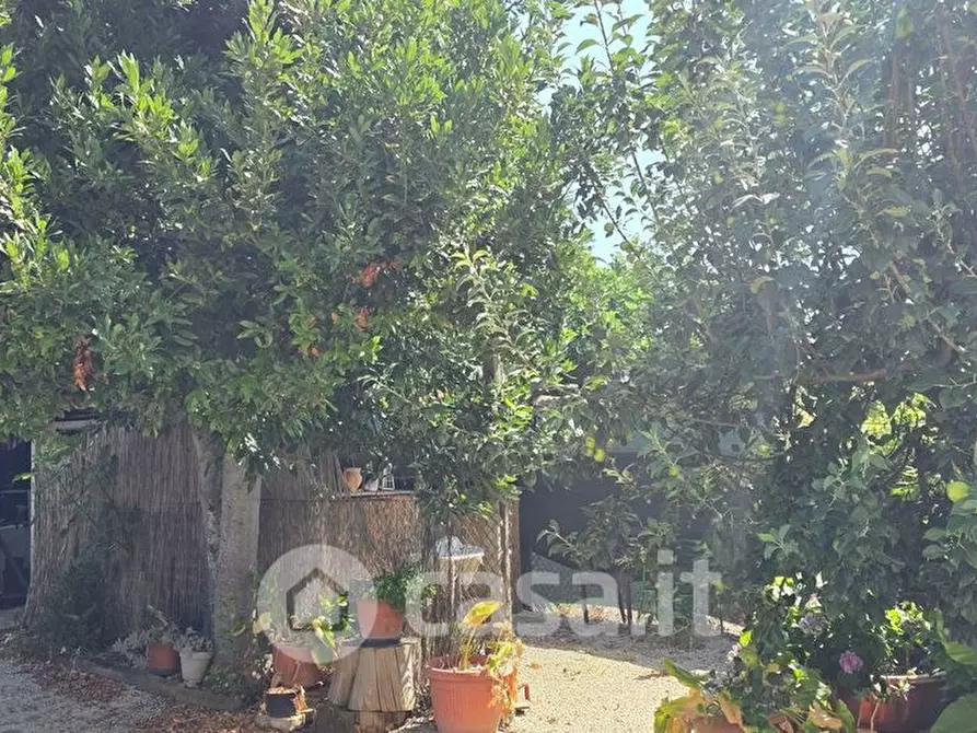 Immagine 16 di Capannone industriale in vendita  a Marsciano