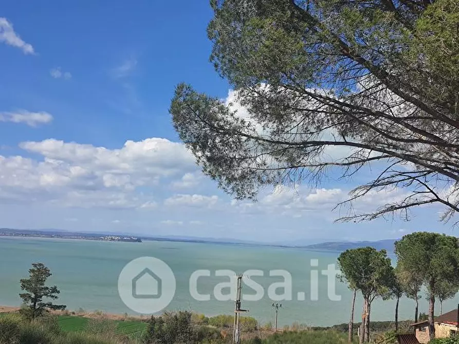 Immagine 10 di Terreno agricolo in vendita  in sant'arcangelo a Magione
