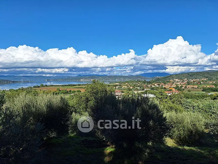 Immagine 14 di Terreno agricolo in vendita  in sant'arcangelo a Magione