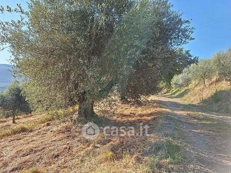 Immagine 15 di Terreno agricolo in vendita  in sant'arcangelo a Magione