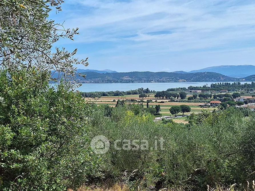 Immagine 16 di Terreno agricolo in vendita  in sant'arcangelo a Magione