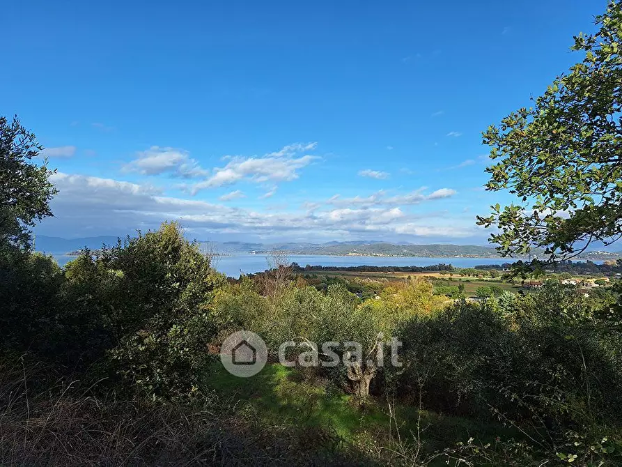 Immagine 17 di Terreno agricolo in vendita  in sant'arcangelo a Magione