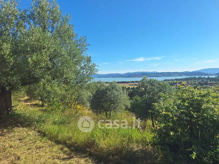 Immagine 18 di Terreno agricolo in vendita  in sant'arcangelo a Magione