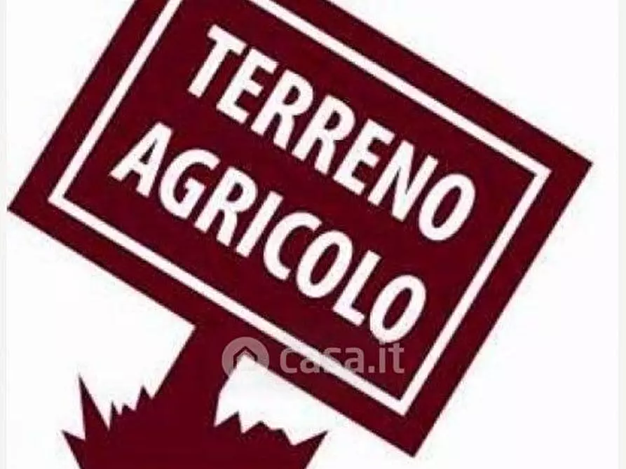 Immagine 5 di Terreno agricolo in vendita  in sant'arcangelo a Magione