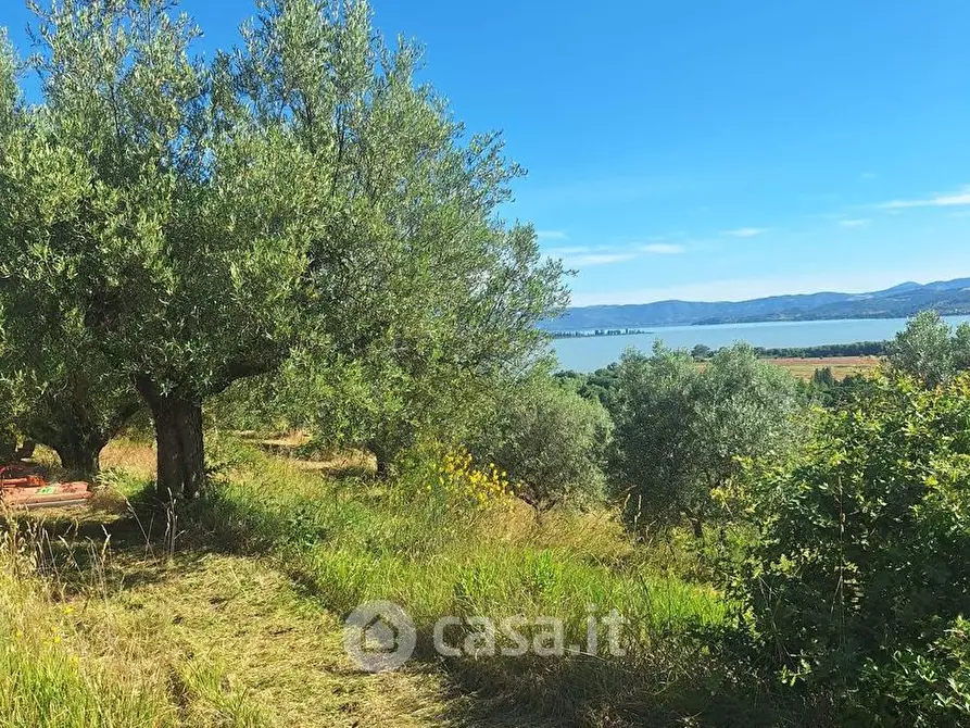 Immagine 8 di Terreno agricolo in vendita  in sant'arcangelo a Magione