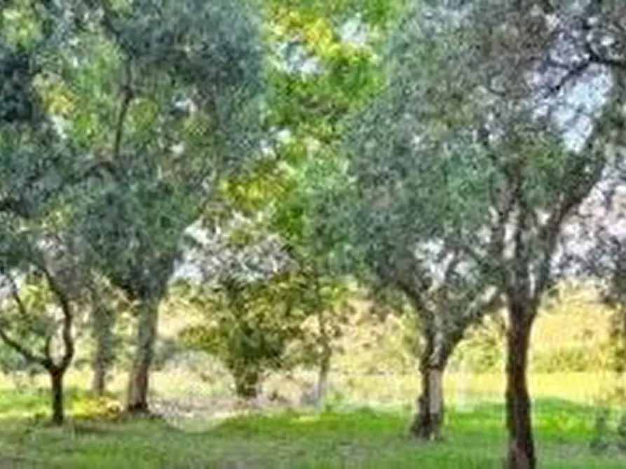 Immagine 2 di Terreno residenziale in vendita  a Perugia