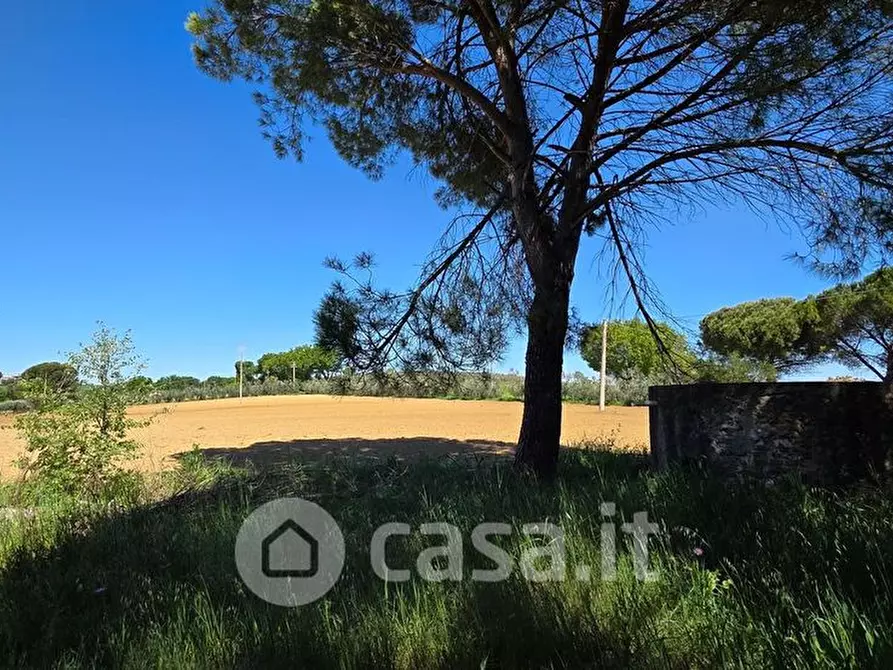 Immagine 12 di Rustico / casale in vendita  a Perugia