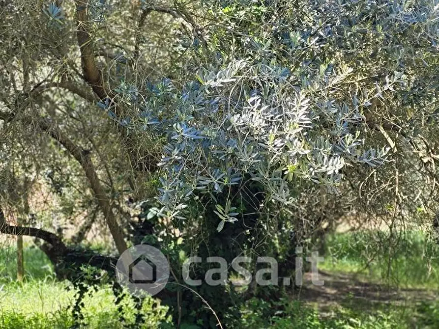 Immagine 4 di Rustico / casale in vendita  in Strada Settevalli 1240 a Perugia