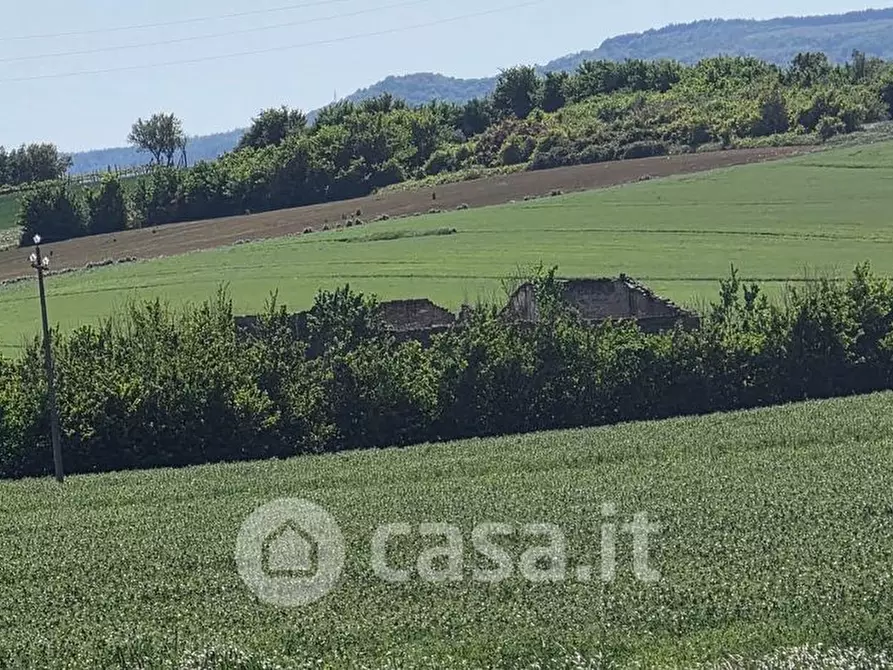 Immagine 2 di Rustico / casale in vendita  a Marsciano