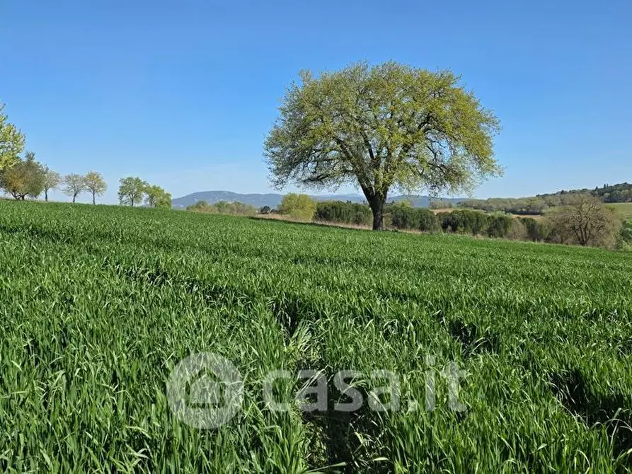 Immagine 4 di Terreno residenziale in vendita  a Perugia