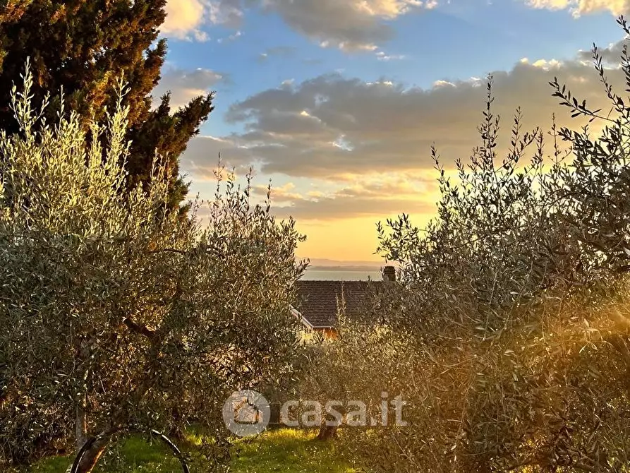 Immagine 2 di Terreno residenziale in vendita  a Passignano Sul Trasimeno