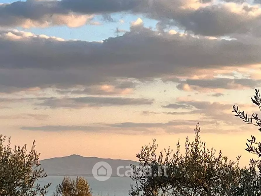 Immagine 3 di Terreno residenziale in vendita  a Passignano Sul Trasimeno
