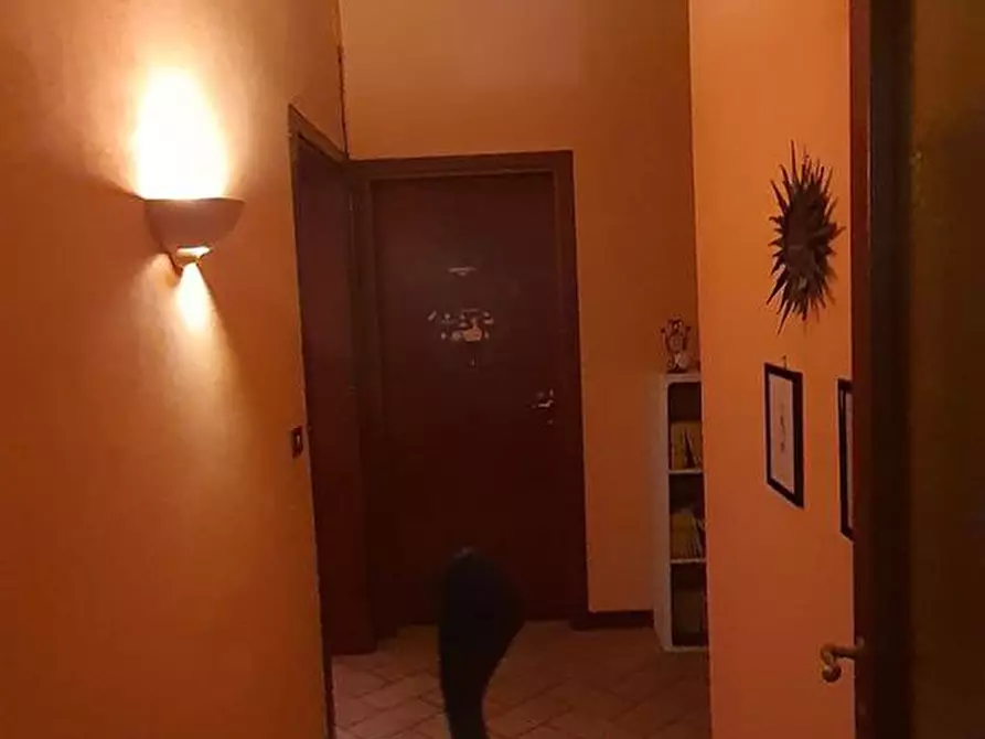 Immagine 24 di Rustico / casale in vendita  in Via Castiglionese a Panicale