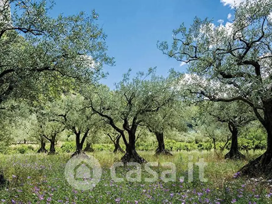 Immagine 1 di Terreno agricolo in vendita  in Via di Castelleone a Deruta