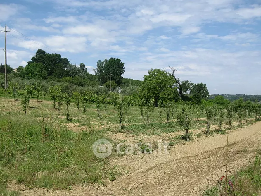 Immagine 2 di Terreno agricolo in vendita  in Via di Castelleone a Deruta