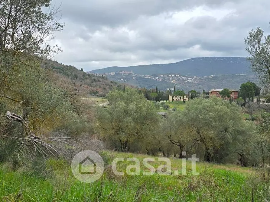 Immagine 9 di Rustico / casale in vendita  a Corciano