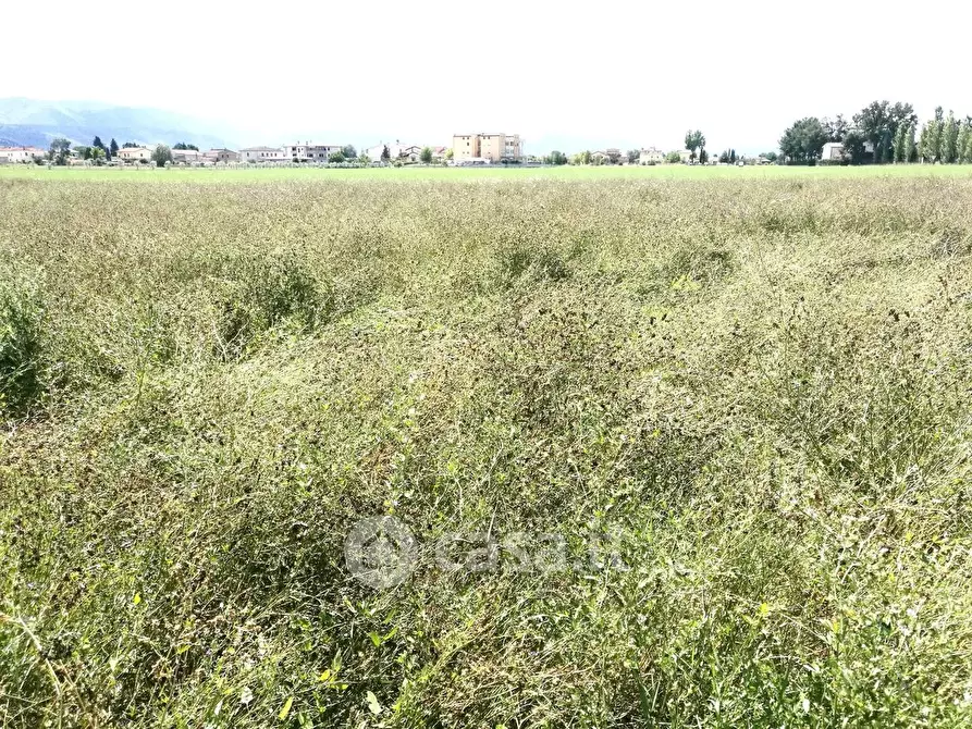 Immagine 3 di Terreno agricolo in vendita  in Strada la torre pila 10 a Perugia