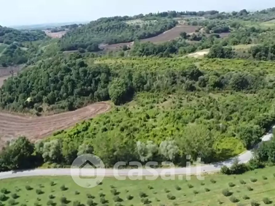 Immagine 24 di Rustico / casale in vendita  in SP146 32 a Chiusi
