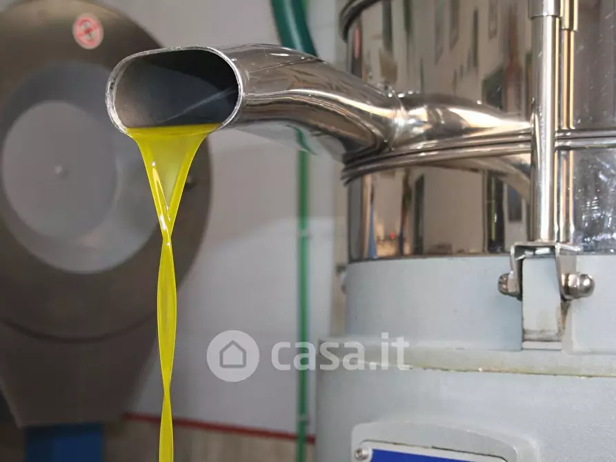 Immagine 37 di Rustico / casale in vendita  in SP146 32 a Chiusi