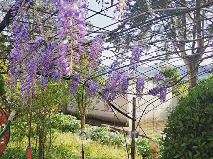 Immagine 38 di Rustico / casale in vendita  in SP146 32 a Chiusi