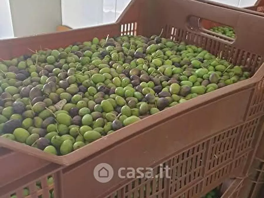 Immagine 39 di Rustico / casale in vendita  in SP146 32 a Chiusi