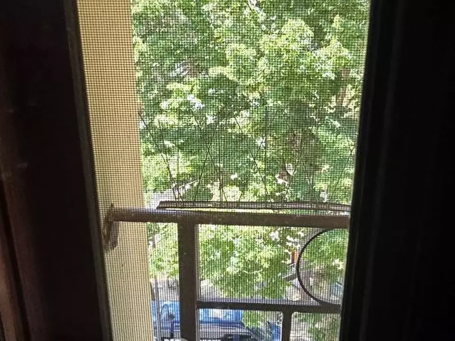 Immagine 12 di Appartamento in vendita  in Viale roma a Passignano Sul Trasimeno